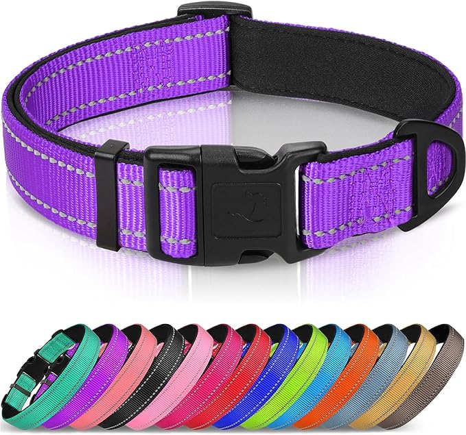 Joytale Reflective Dog Collar, Adjustable Neoprene Padded, Purple L | Breathable Nylon for Large Dogs, No Chafing on Walks and Outdoor Hikes, Tear-Resistant Webbing, Metal D-Ring, Night Safety by Joytale