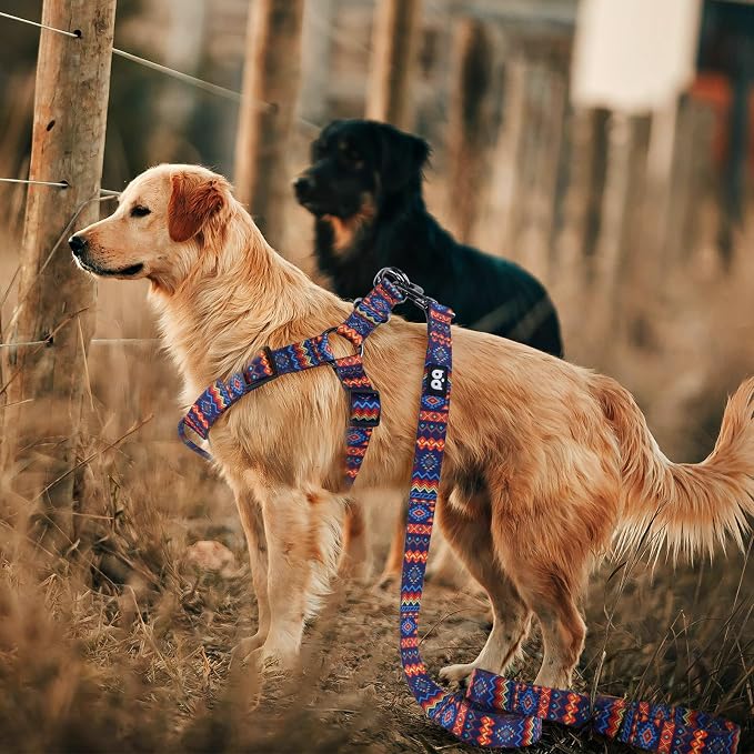 Dog Harness Leash Set Adjustable Heavy Duty No Pull Halter Harnesses for Small Medium Large Breed Dogs Back Clip Anti-Twist Perfect for Walking - Image 6
