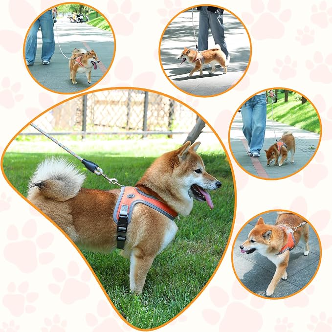 Dog Harness and Leash Set, No Pull Saddle Style Pet Harness, Breathable Mesh Adjustable Reflective Dog Vest for Medium Small Dogs Harness 2 D-Rings, Orange, S - Image 6