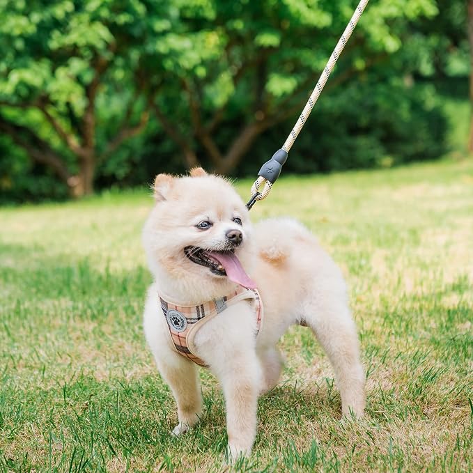 BEAUTYZOO Small Dog Harness and Leash Set, No Pull Puppy Pet Vest- Beige,XS | Step-in Easy On/Off, All Season Breathable Mesh,Escape-Proof Hook & Loop,Lightweight Reflective,No Choke,Easy Walking Control - Image 8