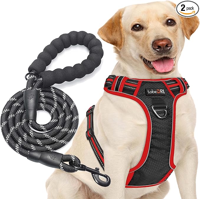 tobeDRI No Pull Dog Harness Adjustable Reflective Oxford Easy Control Medium Large Dog Harness with A Free Heavy Duty 5ft Dog Leash, Black/Red, L by tobeDRI