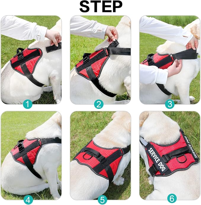 MUMUPET Custom Dog Harness Vest with 2 Personalized Name & Phone Patches | No Pull Reflective Adjustable with Handle, Soft Breathable Padding for Medium Dogs (Red, M) - Image 6