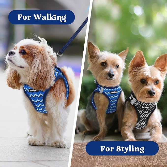rabbitgoo Step-in Small Dog Harness, Puppy Vest for Small Sized Pet | Easy Put on and off, Lightweight, Soft, Breathable Quick-Dry Air Mesh for Comfortable Secure Walking, Blue Zigzag S - Image 9