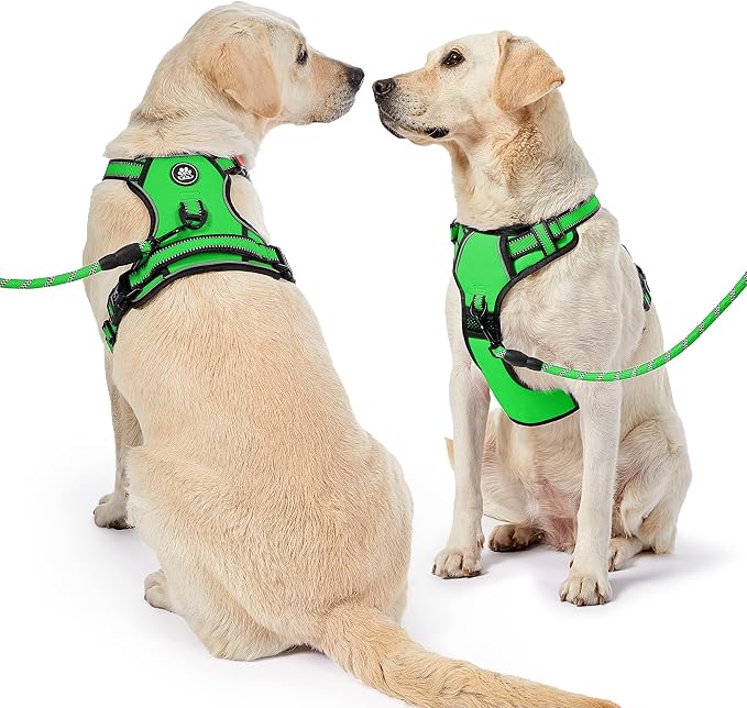 NESTROAD No Pull Dog Harness,Adjustable Oxford Dog Vest Harness with Leash,Reflective No-Choke Pet Harness with Easy Control Soft Handle for Small Dogs(Small,FluorescentGreen) - Image 8