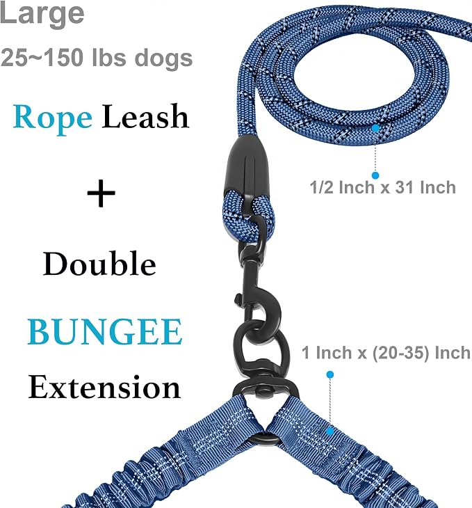 Double Dog Leash, 360° Swivel, No Tangle, Large, True Navy | Dual Leash for Two Dogs, Split Leash, Shock-Absorbing Bungee, Padded Handle, Heavy-Duty Rope - Image 2