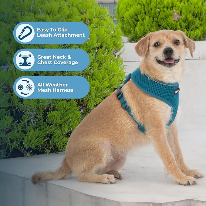 Best Pet Supplies Voyager Aerolite Over the Head Dog Harness, No Pull Breathable Air Mesh Vest, Quick Dry with Reflective Stitching, Adjustable Escape Resistant Harness - Turquoise, Medium - Image 5