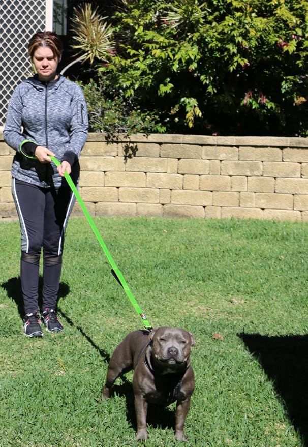 Dog Leash 6ft Long,Traffic Padded Two Handle,Heavy Duty,Reflective Double Handles Lead for Control Safety Training,Leashes for Large Dogs or Medium Dogs,Dual Handles Leads(Green) - Image 4