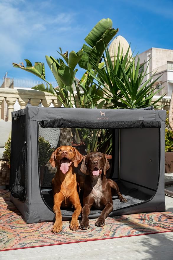 Noah & Paw Collapsible Dog Crate 42 Inch, XXL Dog Crate for XXL, XL, Large Breeds, Travel Kennel for Car, Includes Pet Mat for Pet Cage, 2 Storage Pockets, Handbag, 10mm Locking Zippers 42 * 31 * 31 - Image 2