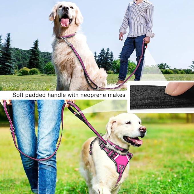Pet Harness Collar and Leash Set, All-in-one Reflective Dog Harness No Pull with Adjustable Buckles for Puppies, Small, Medium, Large, and Extra-Large Dogs (X-Large, Rosy) - Image 5