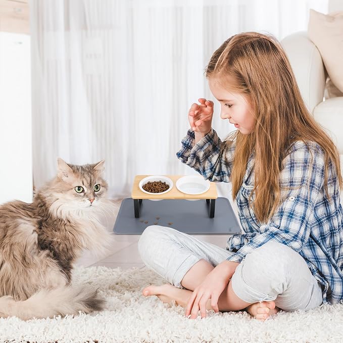 Elevated Whisker Friendly Cat Bowls, 15 Tilted Stand Anti Vomiting Raised Dishes for Food and Water, Ceramic Bowls for Cats and Puppy,Bamboo - Image 7