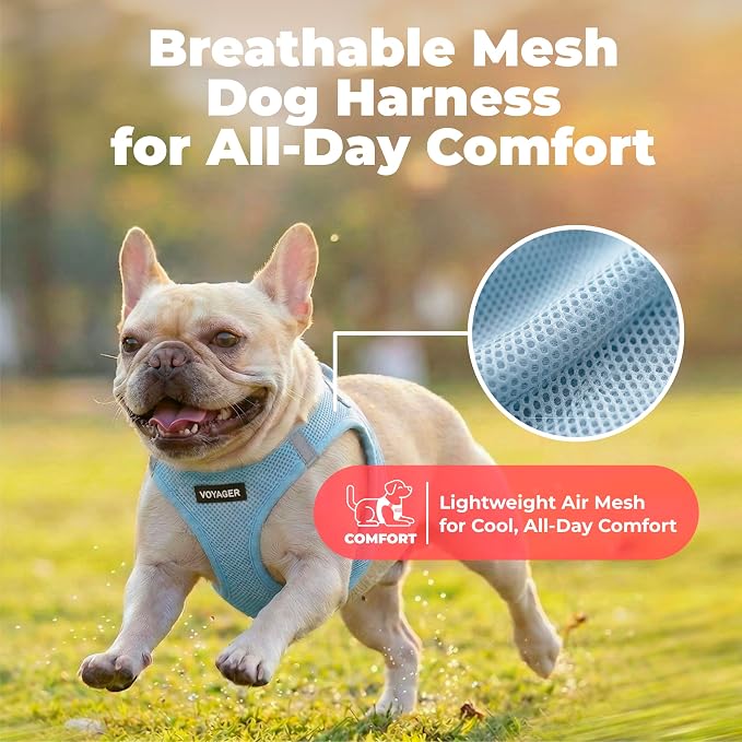 Voyager Step-in Air Dog Vest Harness - Baby Blue, X-Large | 20.5 - 23" in Chest, Reflective Bands, All Weather Breathable Air Mesh, Cats Compatible, Lightweight, Fast Drying - Image 5