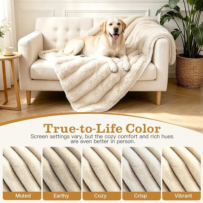 Dog Blanket for Small Dogs, Soft Rabbit Fur Puppy Blanket 25x35 White | Nodarko Double-Sided 600GSM Rabbit Fur & Fleece Dog Blanket, Washable Pet Blanket for Couch, Crate & Car Seat - Image 4
