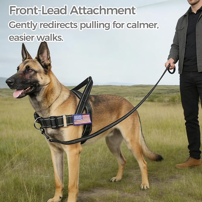 BINGPET No Pull Dog Harness for Large Dogs | Escape-Proof & No-Choke | Soft Padded Vest with Handle & Reflective Front Clip | Quick-Fit for Training, Hiking & Daily Walks | Black, L - Image 8