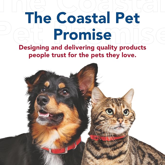 Coastal Pet Single-Ply Dog Leash - Sturdy Pet Leash - Comfortable & Stylish - Resists Fraying - Vibrant & Fade-Resistant Color - Orchid, 3/8" x 6' - Image 7