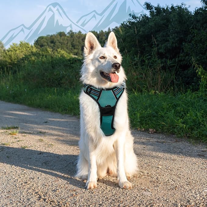 Eagloo Dog Harness for Large Dogs, No Pull Pet Vest with 2 Leash Clips | No Choke with Handle, Adjustable Comfort Fit, Reflective Strips, Easy Walking Control, Dark Green, X-Large - Image 8