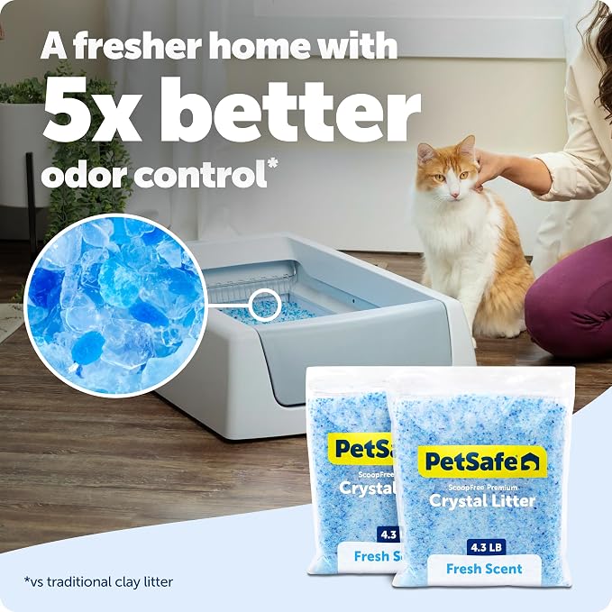 PetSafe ScoopFree Premium Crystal Litter, Fresh Scent, 4.3 Lb Bag, 2 Pack | Ultra-Absorbent Crystal Cat Litter, 5x Faster Odor Control, 99% Dust-Free, Low Tracking, Refills Any Cat Box or Tray - Image 2