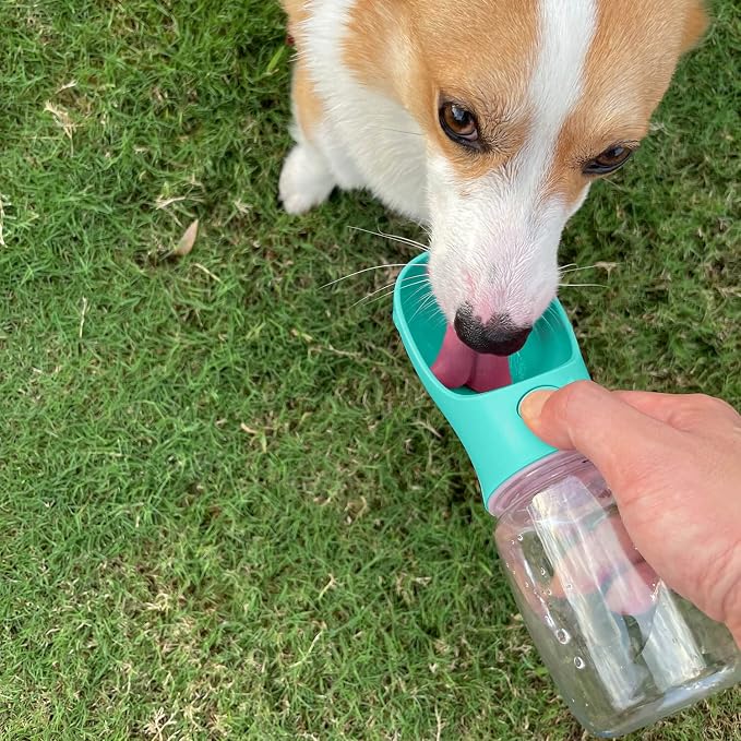 WePet Portable Dog Water Bottle, 12 OZ, Leak Proof Puppy Water Dispenser with Drinking Feeder for Pets Outdoor Walking, Hiking, Travel, Food Grade Plastic - Image 2