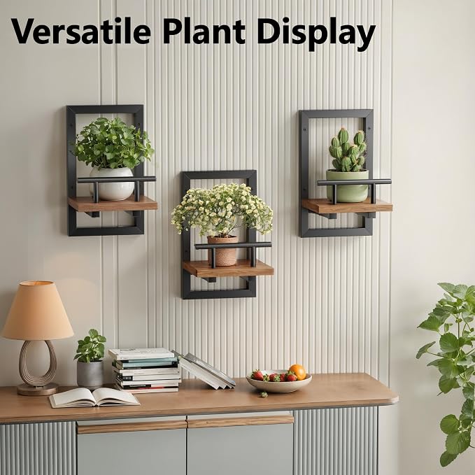 Sbosbo Floating Shelves for Wall Plant Shelf Indoor Wall Mounted Shelves | Wall Planters for Indoor Floating Plant Shelves for Bedroom, Living Room, Kitchen, Office, Bathroom Decor (2 Pack) - Image 6