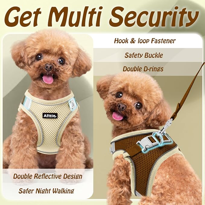 AIITLE Small Dog Harness and Leash Set, Step-in Puppy Pet Vest, Beige S | Light, Soft, Breathable Air Mesh, Escape-Proof, Easy on and Remove with Hook & Loop, Secure Reflective for Walking - Image 7