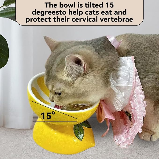 2PCS Ceramic Elevated Cat Bowls Raised Cat Food and Water Bowl Dishes Set | 5.2in Tilted Anti Vomiting Slow Feeder Cat Dishes, Whisker Friendly for Indoor kitten, Lemons & Pitaya Design - Image 3