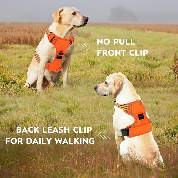 No Pull Dog Harness for Small Medium Large Dogs Adjustable Reflective Pet Vest with Front Clip Padded Harness for Dogs Easy Control Handle Best for Outdoor Training and Walking Orange XL - Image 3