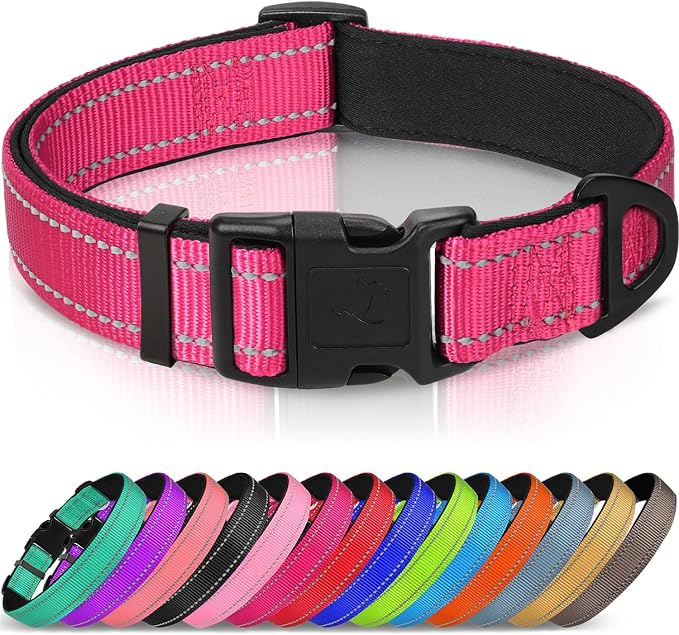 Joytale Reflective Dog Collar, Adjustable Neoprene Padded, Hotpink L | Breathable Nylon for Large Dogs, No Chafing on Walks and Outdoor Hikes, Tear-Resistant Webbing, Metal D-Ring, Night Safety by Joytale