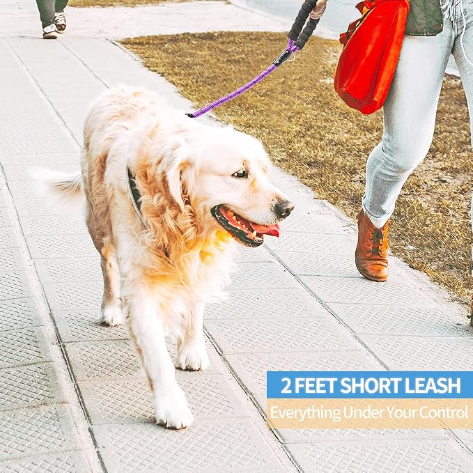 2/4/5/6 FT Dog Leash with Comfortable Padded Handle and Highly Reflective Threads for Small Medium and Large Dogs (2FT-1/2'', Purple) - Image 5
