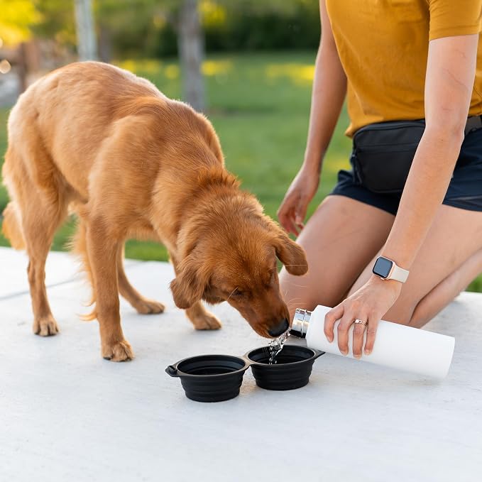 Pup Culture Dual Collapsible Dog Bowls | Silicone Travel Water Bowl for Dogs | Food Grade, No Plastic Rim, Portable Dog Bowl for Food and Water - Easy to Clean | BPA Free and Safe for Your Pup-Black - Image 6