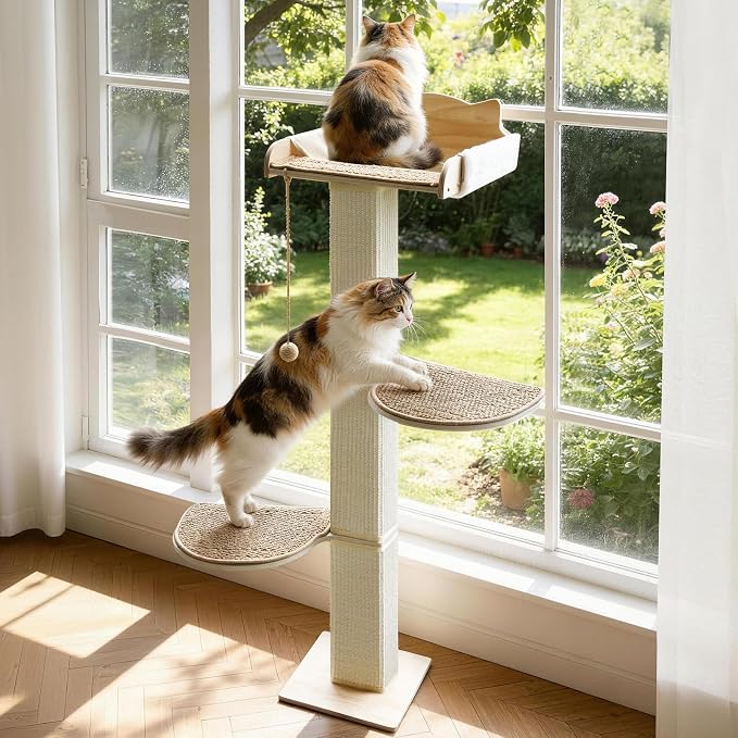 Solid Wood Cat Window Perch with 2 Jumping Platforms, Cat Hammock for Window with Scratching Post, Sisal Tall Cats Scratching Post with Large Perch, Wooden Cats Window Bed with 2 Suction Cups by GreenPetopia