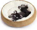 Love's cabin Round Donut Cat and Dog Cushion Bed, 24in Pet Bed for Small or Medium Dogs, Anti-Slip & Water-Resistant Bottom, Soft Durable Fabric Pet Beds, Washable Calming Cat Bed Beige by Lovescabin