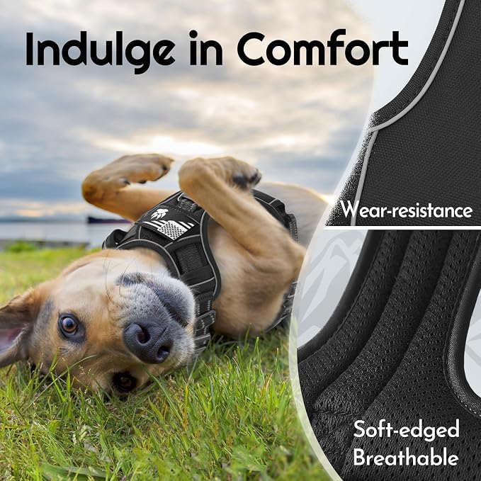 Eagloo Dog Harness No Pull for Large Dogs, Easy On & Off with 3 Buckles | No Choke with Front Clip, Adjustable Fit, MOLLE System, Reflective Vest, Easy Control for Walking, Black, Large - Image 6