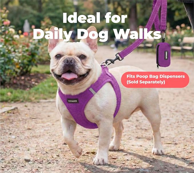 Best Pet Supplies Voyager Nylon Dog Leash - Purple, Medium | 5ft in Length, 3/4" in Width, Reflective, Soft Neoprene Handle, Heavy Duty Metal Clips for Running, Walking & Training - Image 3