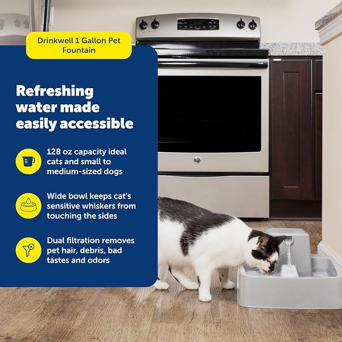 PetSafe Oasys Pet Fountain, 1 Gallon (128 oz), Cats & Small-Medium Dogs | Adjustable Water Flow, Whisker-Friendly Tray, Dishwasher-Safe, Replaceable Carbon & Foam Filters Included - Image 2