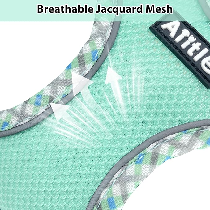 Teacup Puppy Harness and Leash Set Escape-Proof, Turquoise S | No Pull Step-in Vest, Breathable Mesh, Reflective Design with High-Stick Magic Tape, Outdoor Use for Poodles, Pomeranians - Image 3