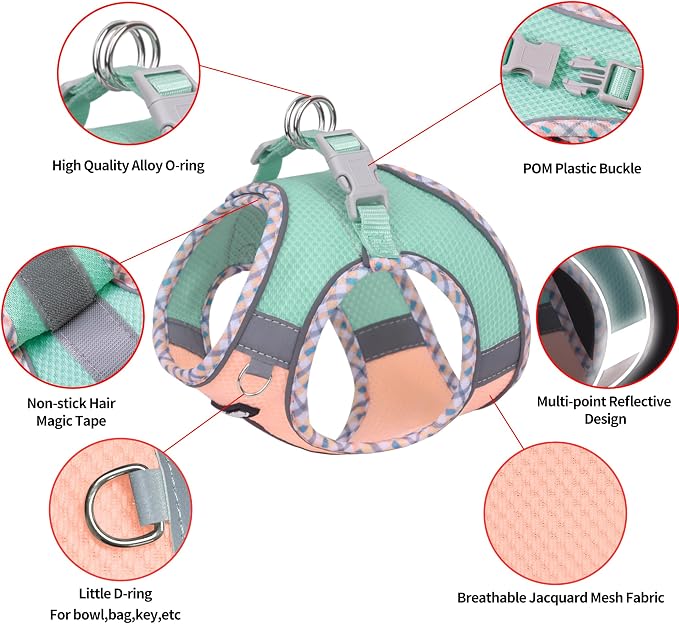Small Dog Harness and Leash Set with Magic Tape, Turquoise-Pink XS | No Pull Step-in Vest for Puppy, Breathable Mesh, Reflective & Escape-Proof Design, Outdoor Use for Chihuahua, Maltese - Image 3