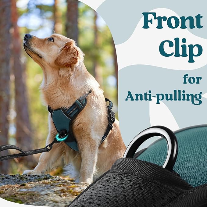 rabbitgoo Dog Harness Small Sized, Updated Easy On & Off with 3 Buckles | No Pull No Choke, Walking with 2 Clips and Handle, Adjustable Soft Reflective, Blue Coral, Small - Image 7