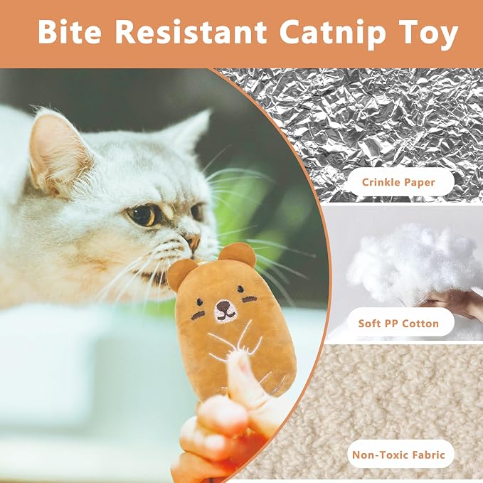 5pcs Catnip Toys, Funny cat Toy, bite Resistant cat Toys | Indoor Cartoon cat Toys for cat,cat chew Toys - Image 3