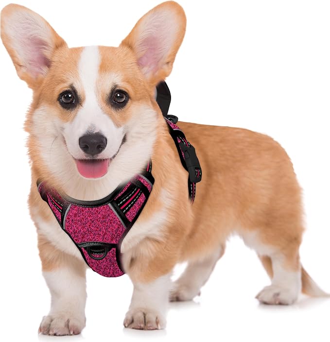 BARKBAY No Pull Dog Harness Large Reflective Dog Harness with Front Clip and Easy Control Handle for Walking Training Running with ID tag Pocket(Pink/Black,M) by BARKBAY