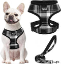 PUPTECK Small Dog Harness and Leash Set No Pull for XS XXS Sized Dogs Puppy | Escape Proof No Choke Pet Cat Adjustable Soft Padded Walking Vest by PUPTECK