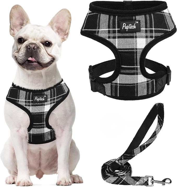 PUPTECK Small Dog Harness and Leash Set No Pull for XS XXS Sized Dogs Puppy | Escape Proof No Choke Pet Cat Adjustable Soft Padded Walking Vest by PUPTECK