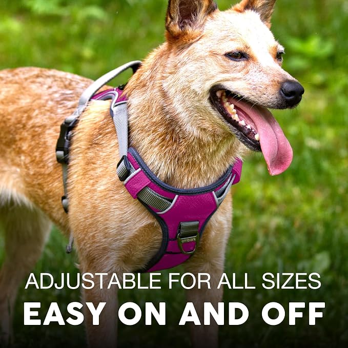Embark No Pull Dog Harness, Reflective Adjustable Training Vest, No Choke | Adjustable straps fit all dog breeds with sturdy hooks; 360° reflective trim, soft padded Harness Design for All Dogs - Image 4