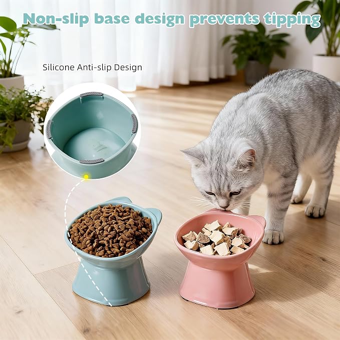 KSIA Klear Elevated Cat Bowls 2 Pack, Tilted Raised Cat Bowls for Indoor Cats, for Food and Water, 4.72" Wide, Whisker Friendly Anti Vomit for Indoor Cats, Microwave and Dishwasher Safe, Pink&Blue - Image 6