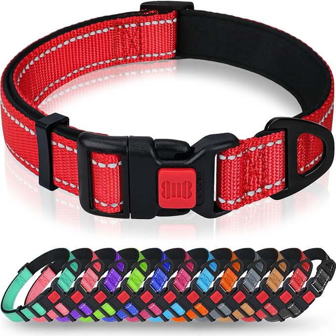 Taglory Reflective Dog Collar for Medium Dogs, Soft and Safe for Daily Walk | Soft Neck Cushioning, Adjustable 14-20 in, Sturdy Webbing Withstands Strong Pullers, Zinc Alloy D-Ring for Leash and ID Tags by Taglory