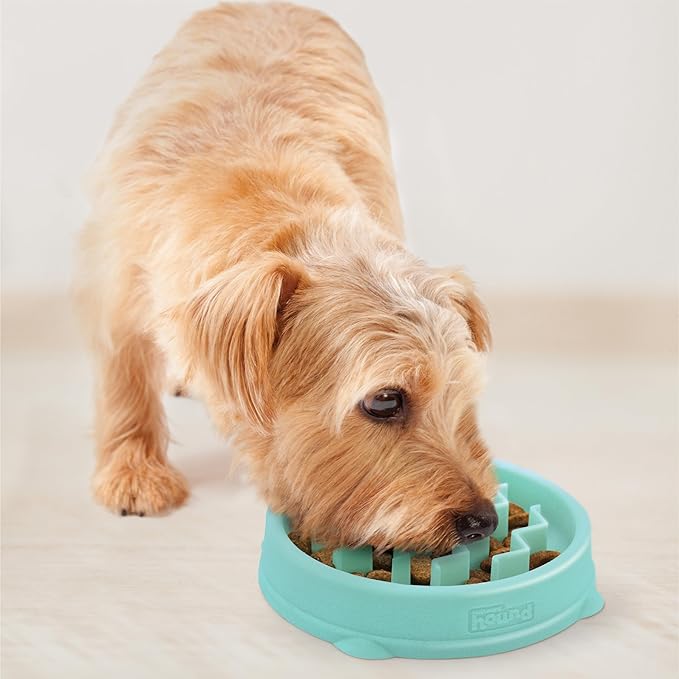 Outward Hound Fun Feeder Slo Bowl – Small 3/4-Cup Capacity, Slow Feeding, Small Dogs, Puppies & Cats, Non-Slip, Mint, Wave Pattern | Slows Fast Eaters, Can Aid Digestion, Holds 3/4 Cup Dry or Wet Food, Non-Slip Base, No BPA, Small Dogs, Puppies & Cats - Image 6