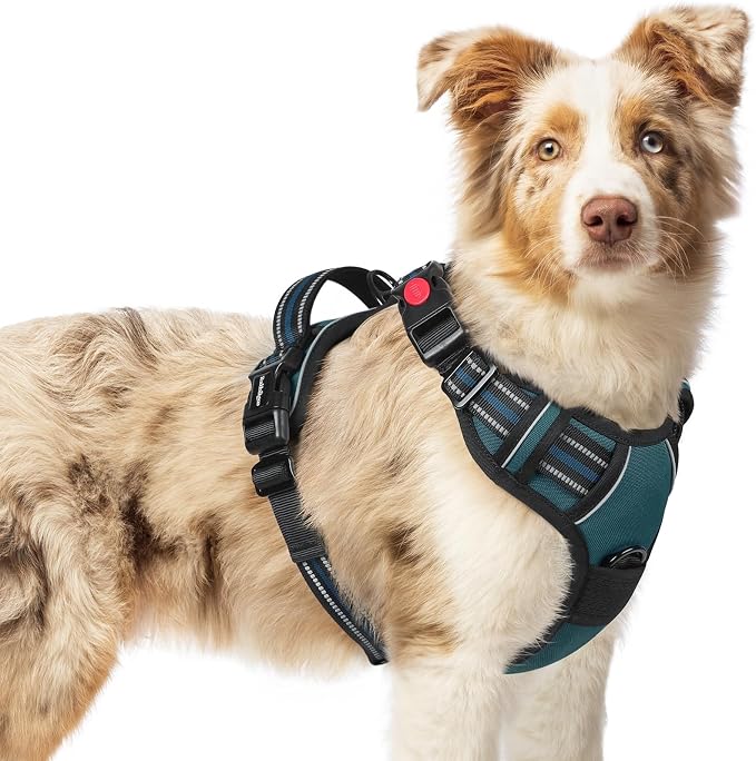 rabbitgoo Dog Harness Medium Sized, Updated Easy On & Off with 3 Buckles | No Pull No Choke, Walking with 2 Clips and Handle, Adjustable Soft Reflective, Blue Coral, Medium by rabbitgoo