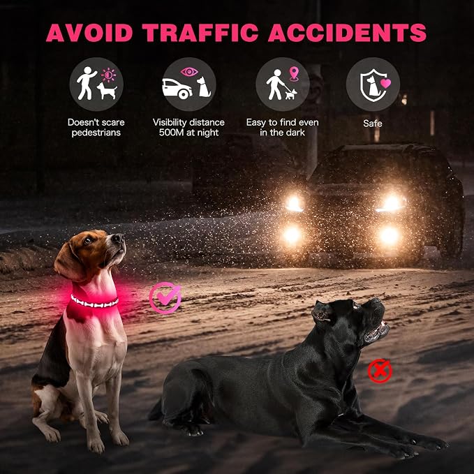 Flashseen LED Dog Collar Light Up USB-C Rechargeable, Pink, Small | Glow in the Dark Collar for Night Walking, Adjustable Waterproof Visibility Glowing Collars for Dogs - Image 2