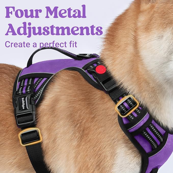 rabbitgoo Large Dog Harness, Easy Wear with 3 Buckles and Lift Handle | No Pull with Front Clip for Walking, Adjustable Soft Padded, Reflective, Easy Control, Purple, Large - Image 5