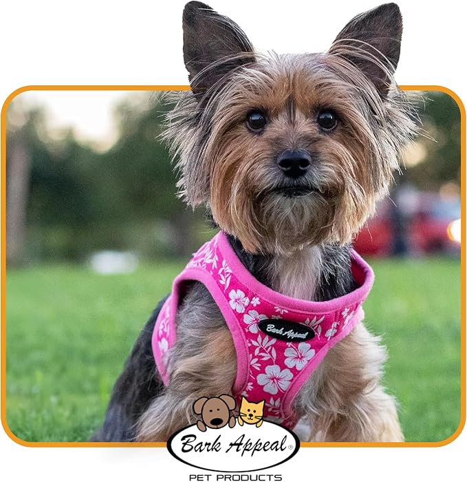 Bark Appeal Skull Multi Step-in Dog Harness for Extra Small Sized Pets – Updated Sizing, Re-Measuring is Essential – Soft Vest Harness – Anti-Choke with Adjustable Strap & Heavy Duty Clip – XS - Image 6