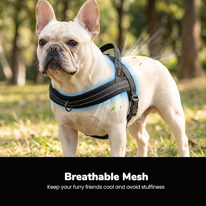 No Pull Dog Harness for Small Dogs, Breathable Mesh Padded, Black, S | Quick Fit, Easy On and Off, Lightweight, Reflective Vest Harness for Night Safty, Easy for Walking and Training, Chest 18-22" - Image 2