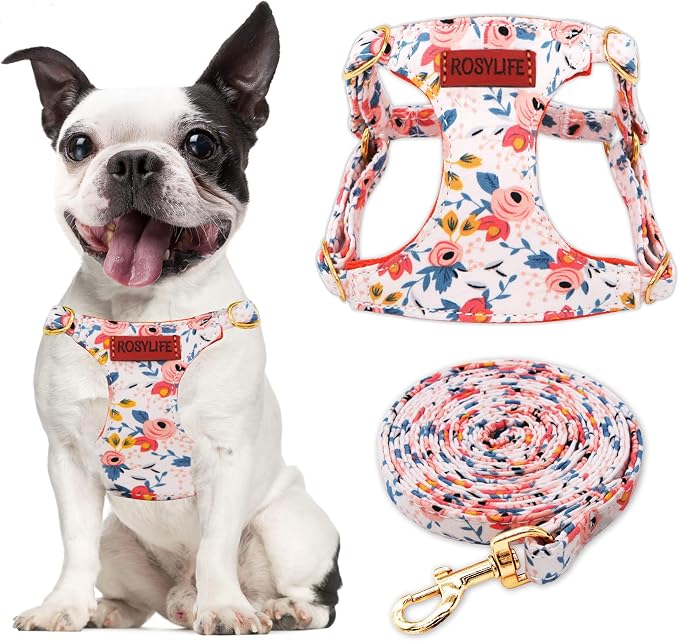 No Pull Dog Harness Adjustable Small Dog Harness and Leash Set, Lightweight and Soft Dog Harness No Choke Escape Proof Pet Harness Vest (Orange Rose, M) by RosyLife